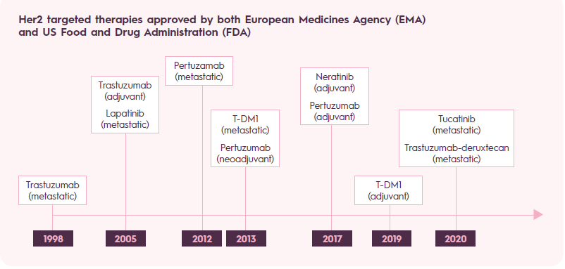 What Is The Life Expectancy Of Her2 Positive Breast Cancer Brain Metastases