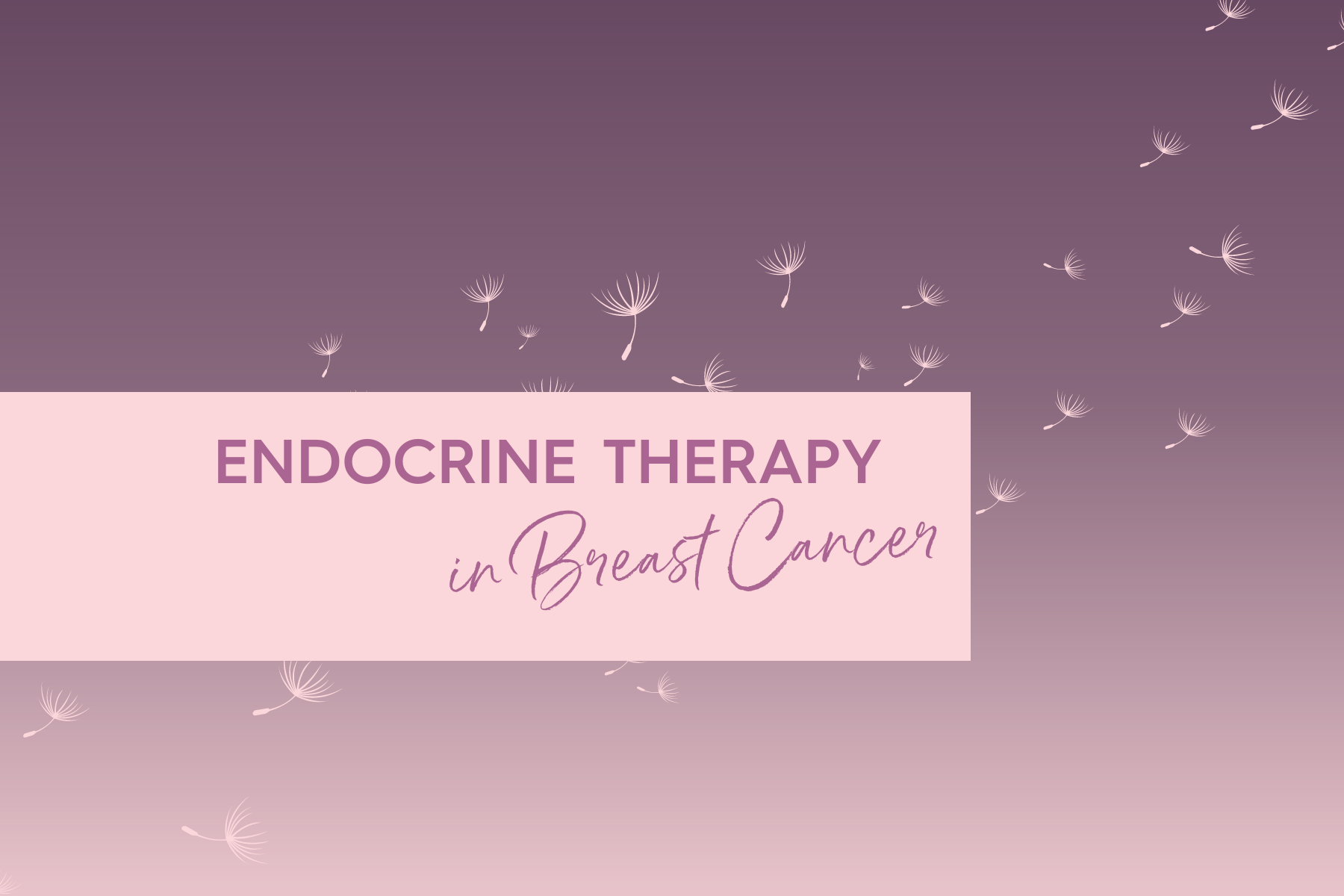 endocrine-therapy-in-breast-cancer-breast-cancer-research-centre-wa